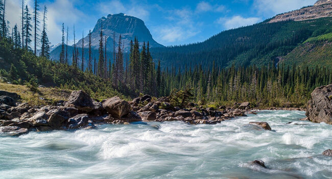 Immigration law Okanagan