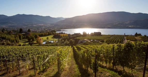 We are growing in Penticton